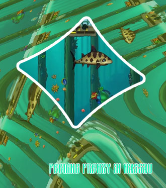 Feeding frenzy online