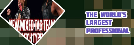 New wwe game 2020
